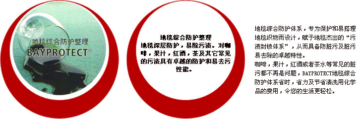 地毯综合防护整理
