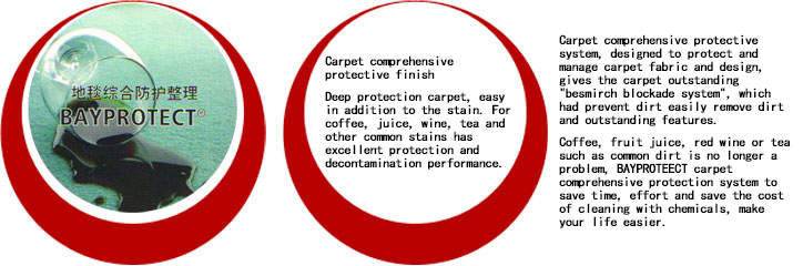 地毯综合防护整理
